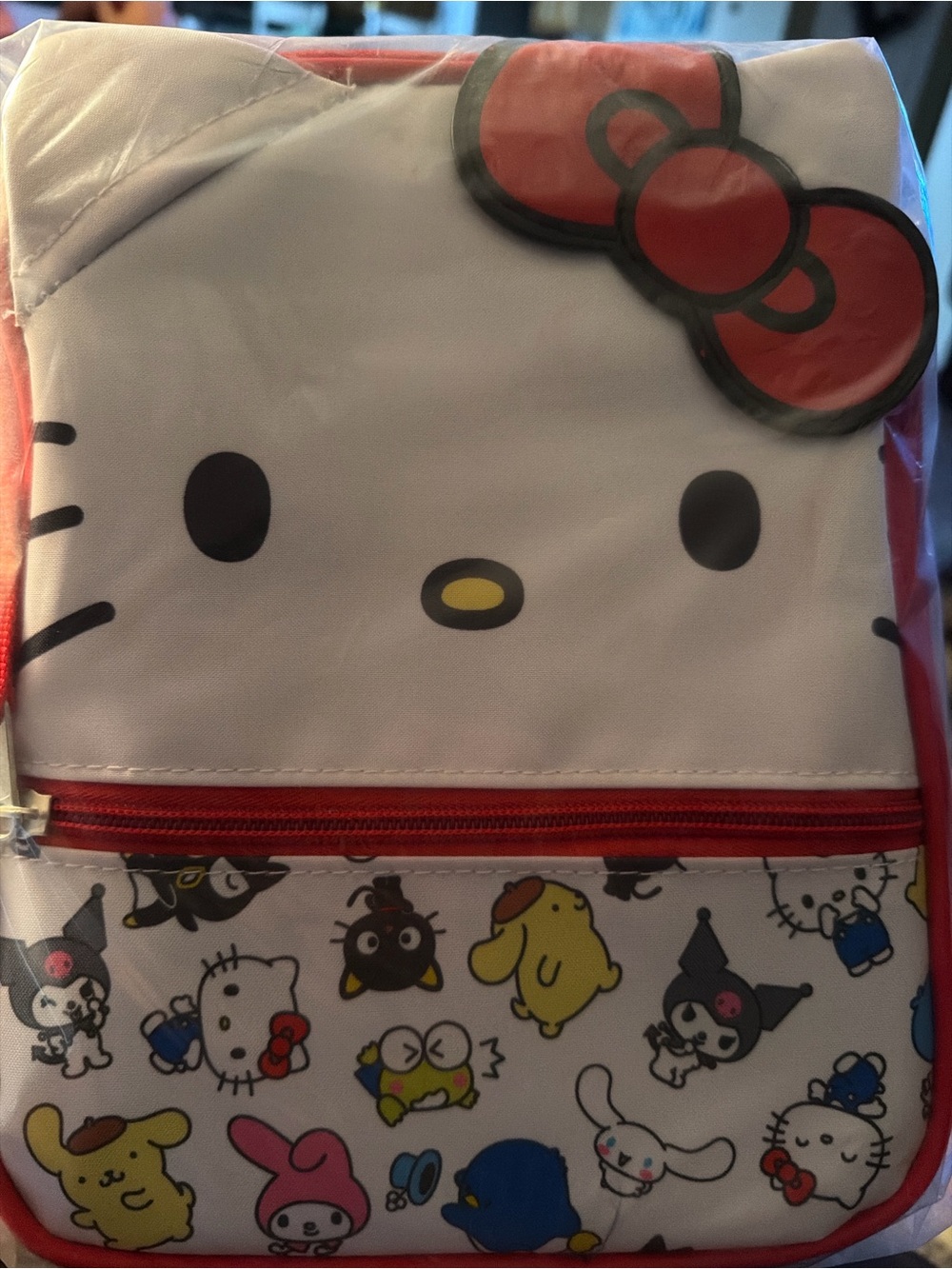 Hello Kitty Red Rainbow Friends Mini Pouch